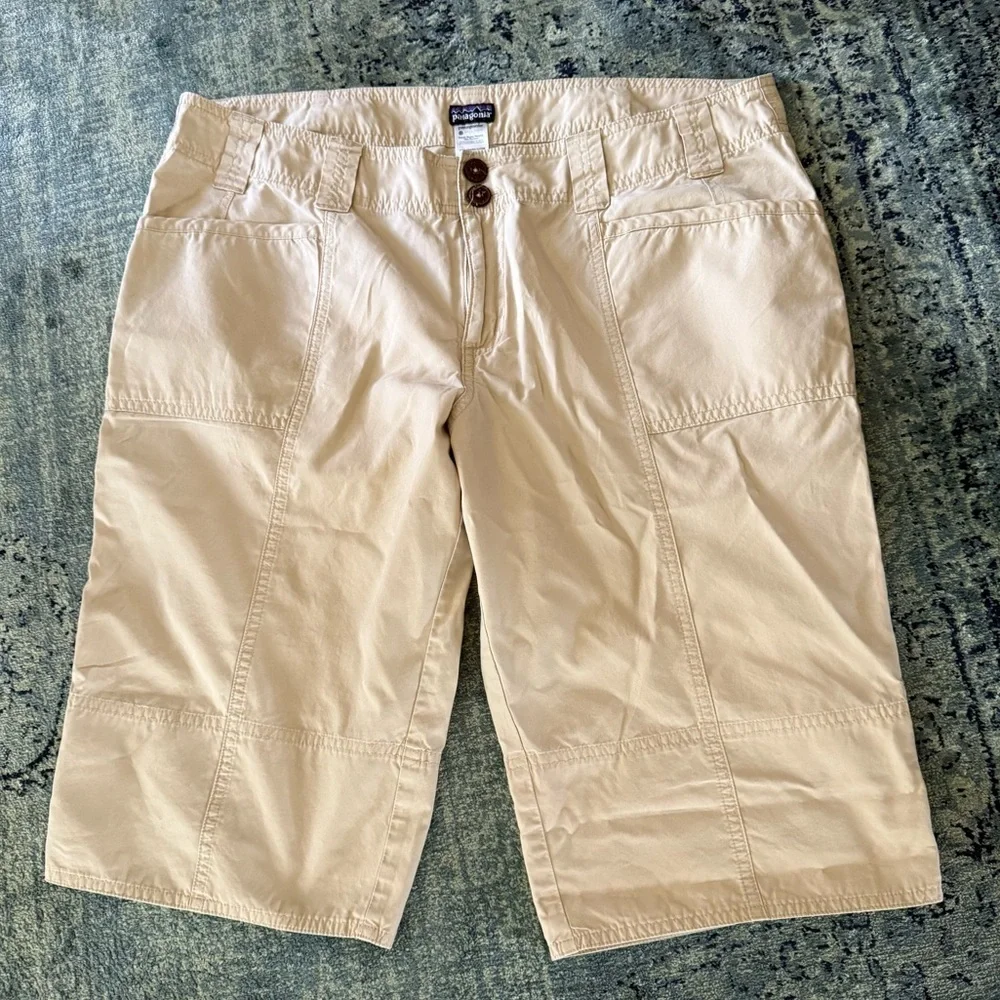 patagonia Shorts 12
